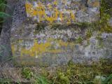 image of grave number 954084
